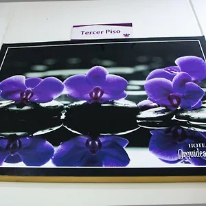  Hotel Orquidea West Colombia
